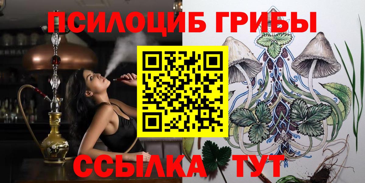 Псилоцибиновые грибы Cubensis Александров